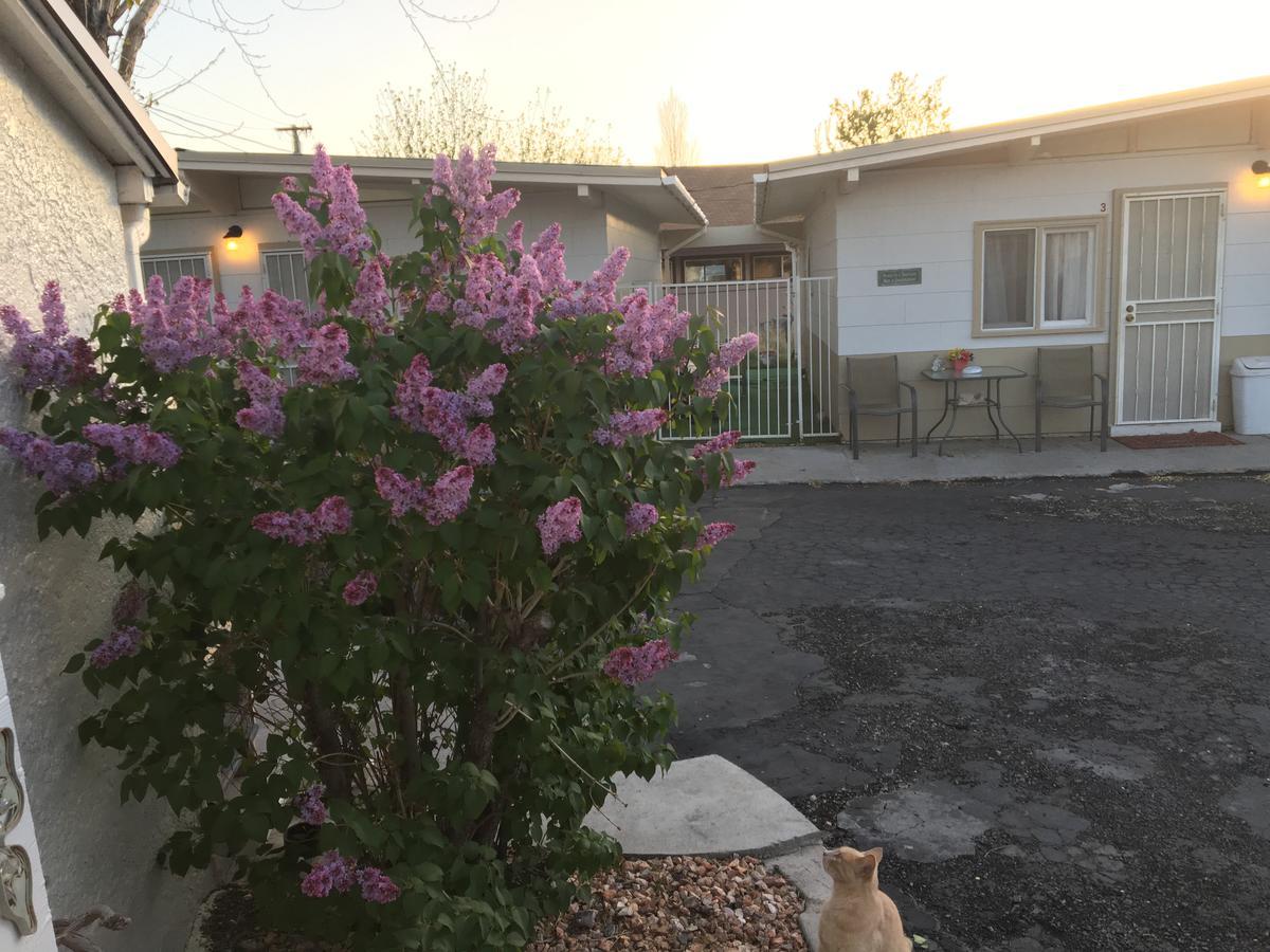 Midway Motel Caliente Εξωτερικό φωτογραφία